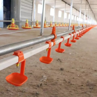 Poultry Farms Pan Feeder System Chicken Breeding