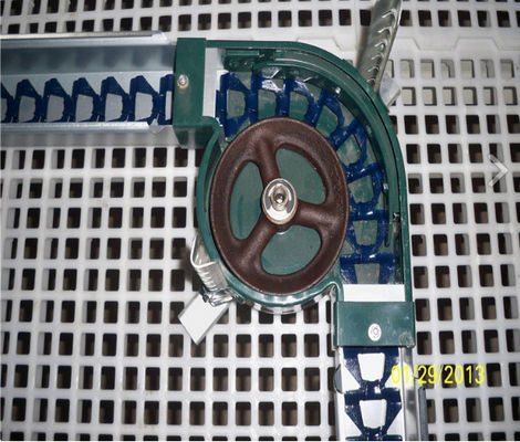 Chain Feeder System Chicken Breeding Equipment