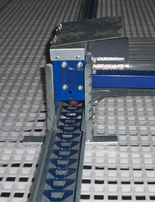 Chain Feeder System Chicken Breeding Equipment