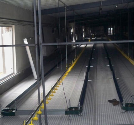 Chain Feeder System Chicken Breeding Equipment