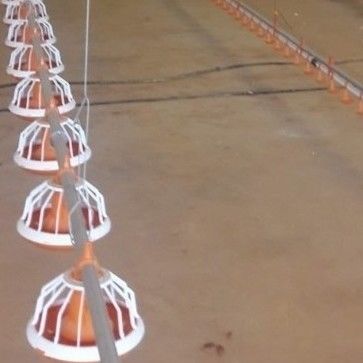 Open House Shed 2.2cm Chicken Nipple Drinker System