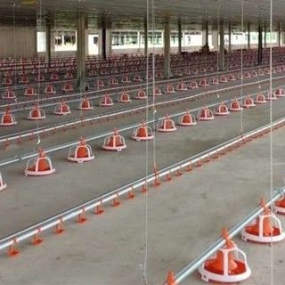 Dia 45mm Galvanized Chicken Nipple Drinker System