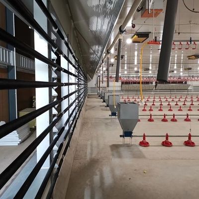 Broiler Automatic Feeder Chain Feeding System Poultry