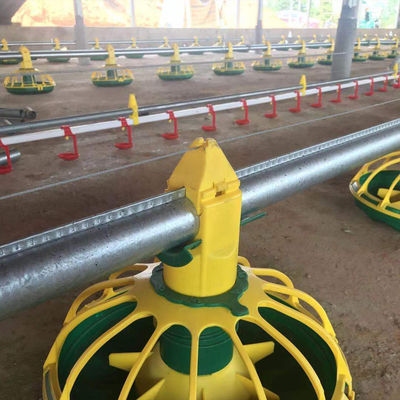Trinkendes System Geflügel-Selbstbohrer-Bratrost-Pan Feeding System Chicken Waters