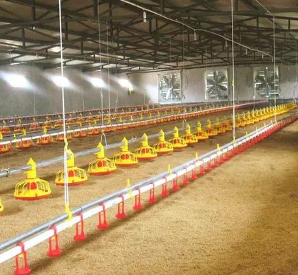 Wasserlinie automatischer Pan Feeding System Chicken Poultry-Nippel-trinkende Ausrüstung