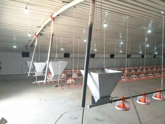 Hühnerbauernhof-Kette automatischer Pan Feeding System 1 Phase