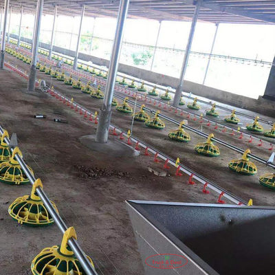Huhn, das automatische landwirtschaftliche Maschinen Pan Feeding System For Poultrys trinkt